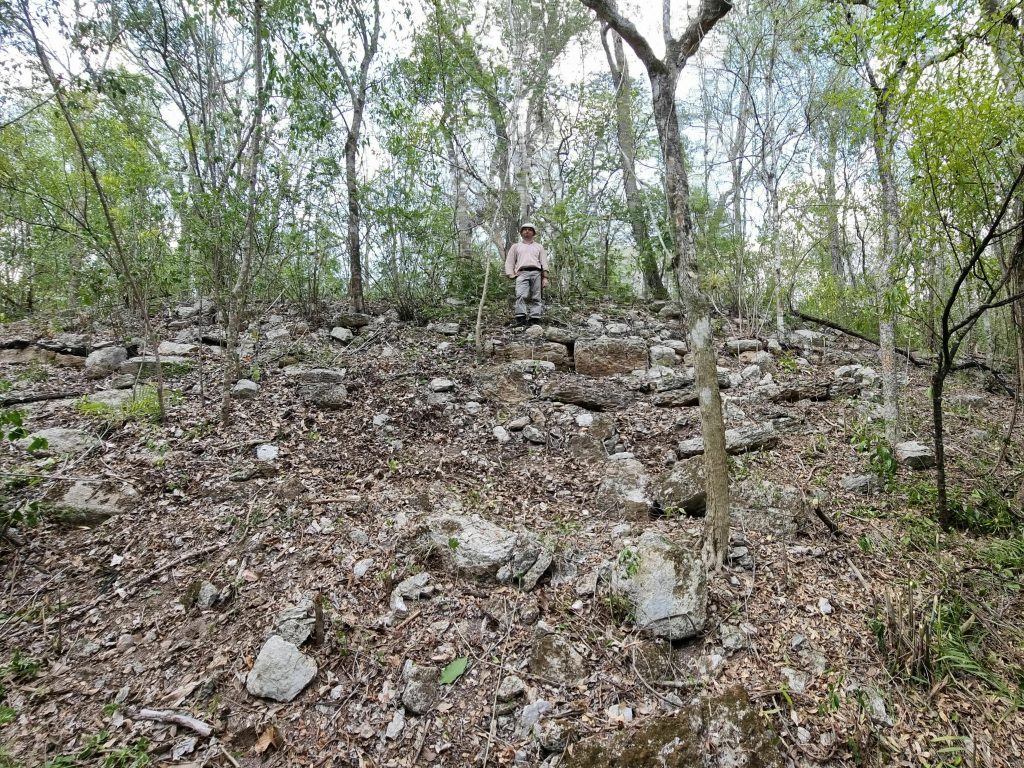 A researcher stands on a hill on the remains of what scientists believe is a structure in the Maya city of Ocumtun