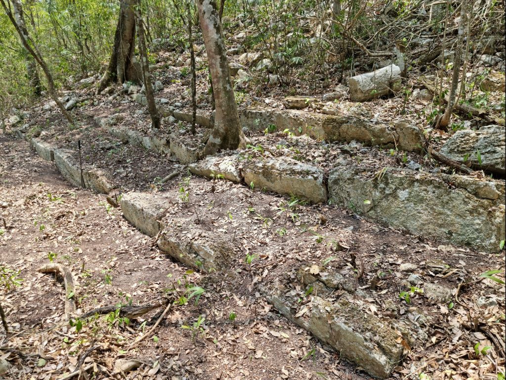 Remains of staircase still visible in the middle of the jungle in Mexico