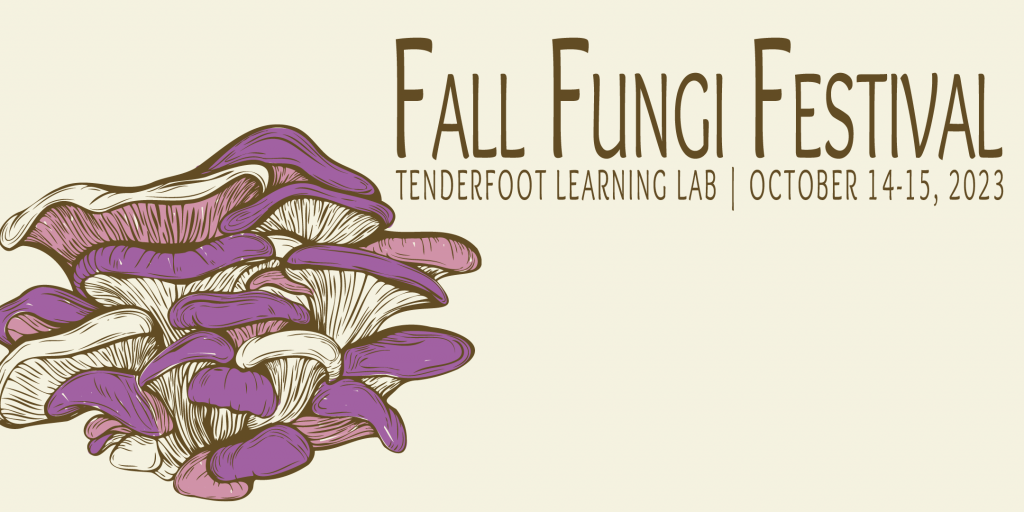 A promotional image for the Fall Fungi Festival, picturing illustrations of various mushrooms.