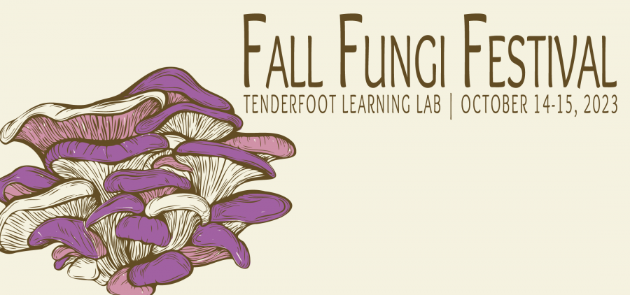 A promotional image for the Fall Fungi Festival, picturing illustrations of various mushrooms.