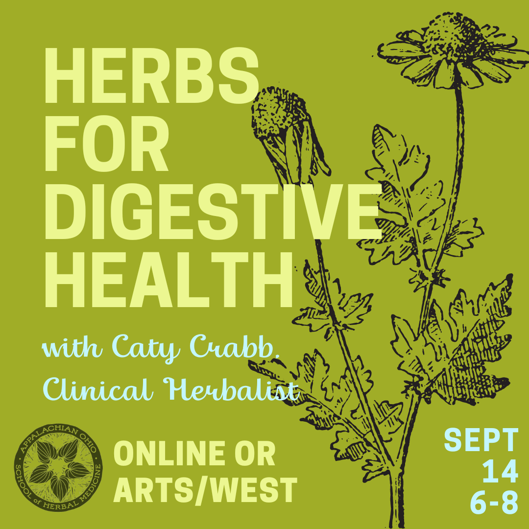 A flyer reading: Herbs for digestive health with Caty Crabb Clinical Herbalist.