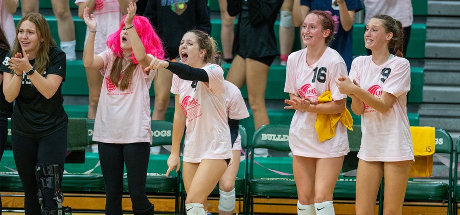 High school girls' volleyball: Athens Bulldogs bench celebrates a point