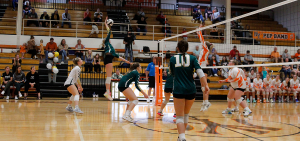 High school girls' volleyball: Athens Bulldogs set up for a kill