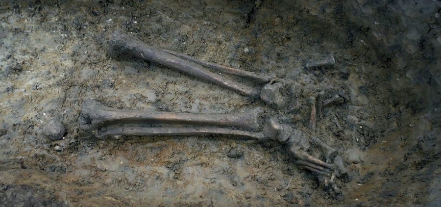 skeleton torso and legs uncovered during a dig