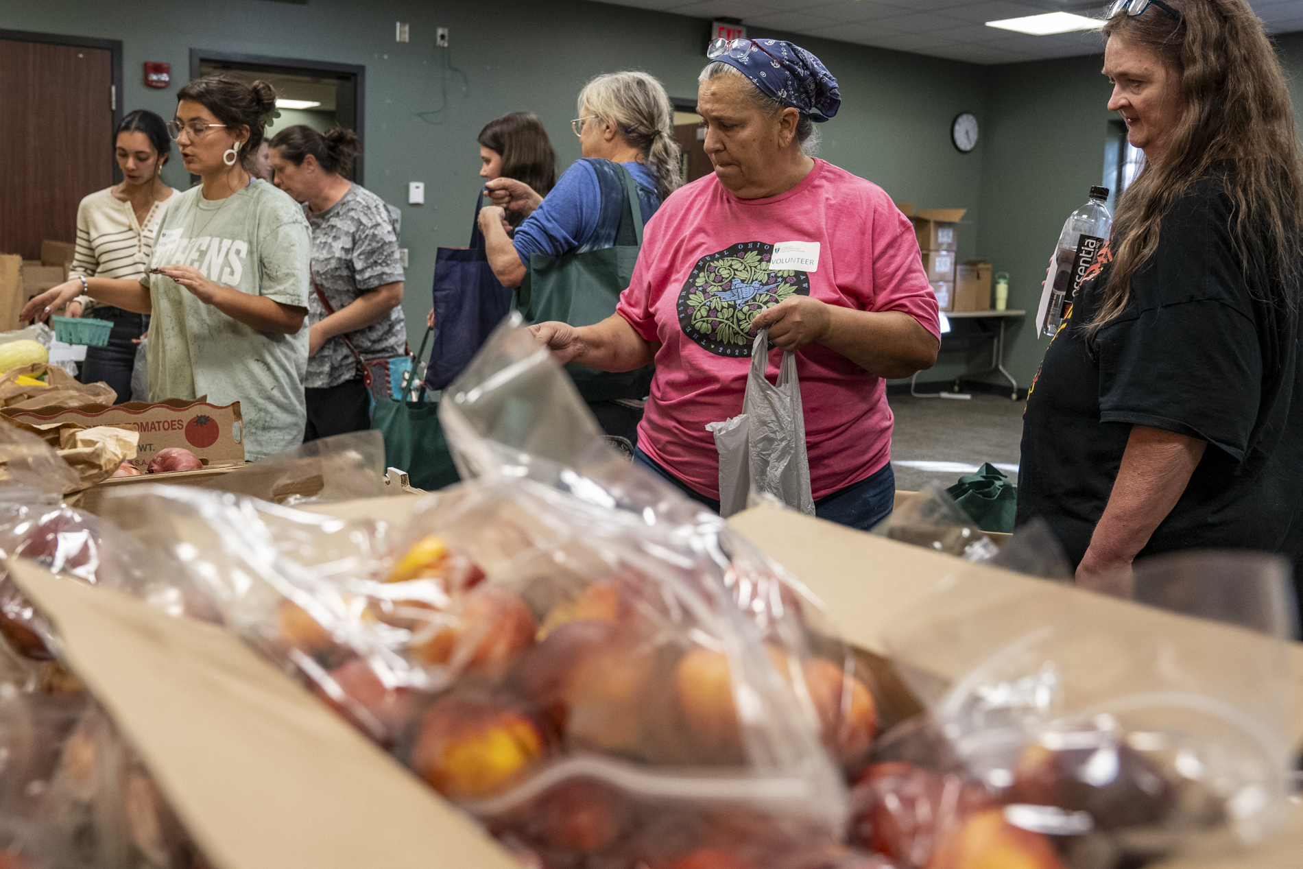 An image of people packing food at a food pantry. They are wearing gloves and working over a table.