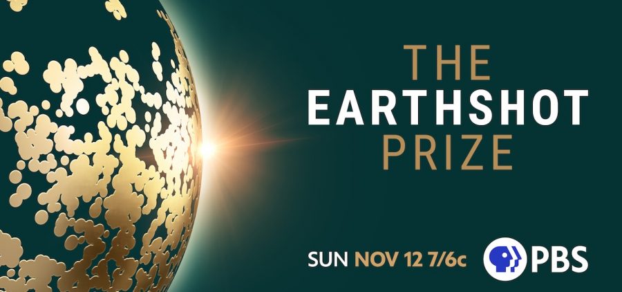 Logo art for The Earthshot Prize 2023, show title to the right of artistic rendition of earth
