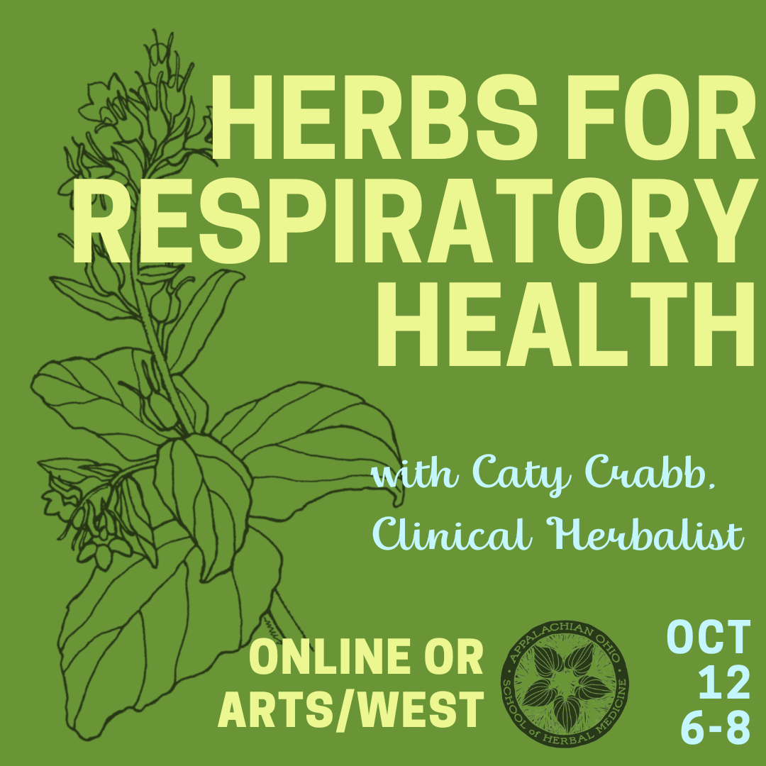 A flyer for a Herbs for Respiratory Health event.