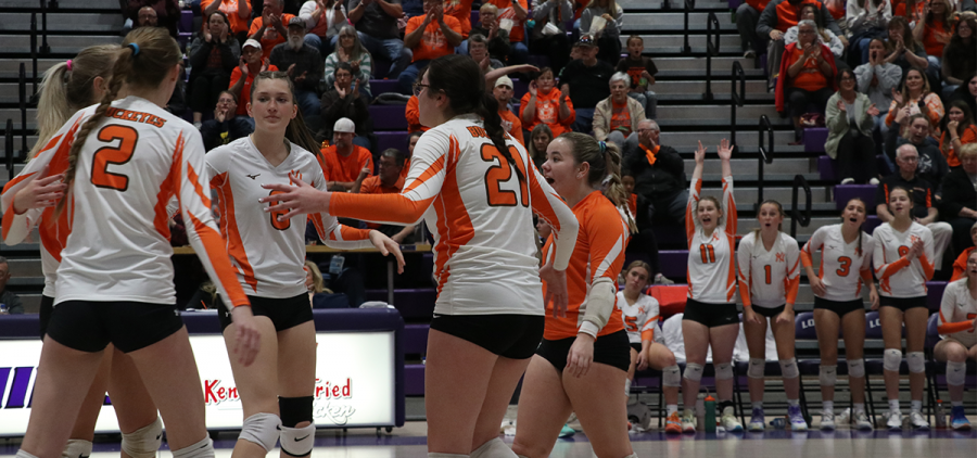 Girls High School Volleyball: Nelsonville-York Buckeyes celebrated after scoring a point