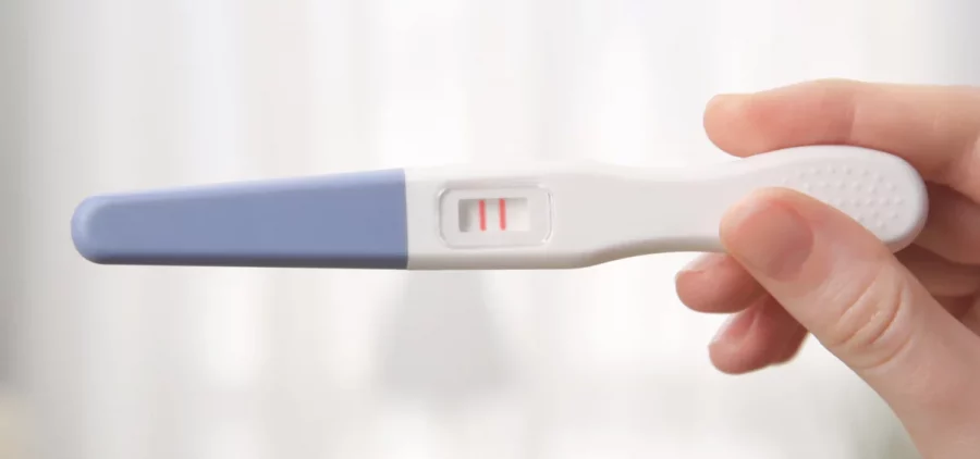 hand holding a pregnancy test