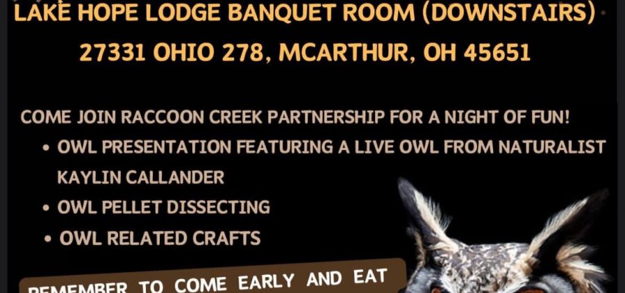 An image of the flyer with information about the Owl Prowl.
