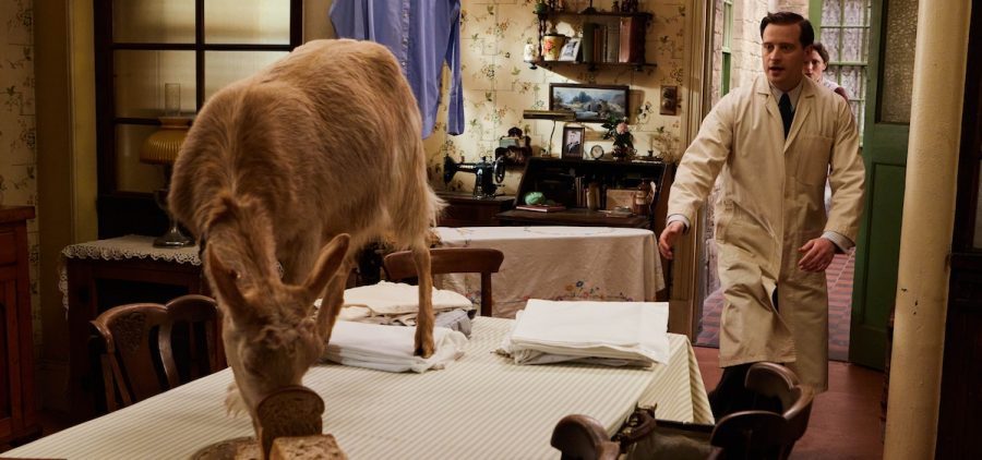ALL CREATURES GREAT AND SMALL vet inside home with goat eating food on dining room table
