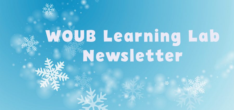 Snowflake background WOUB Learning Lab Newsletter