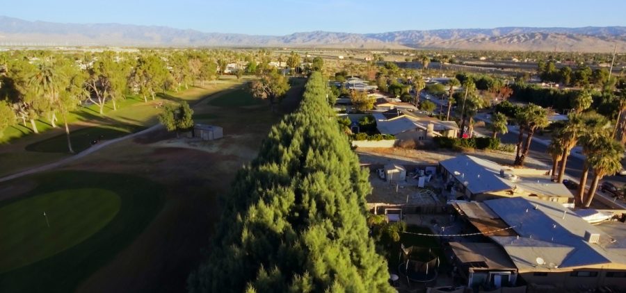 A stunning view of the San Jacinto Mountains in Palm Springs, California that was obscured by a wall of Tamarisk trees affecting residents in the Crossley Tract neighborhood. Credit: Sara Newens