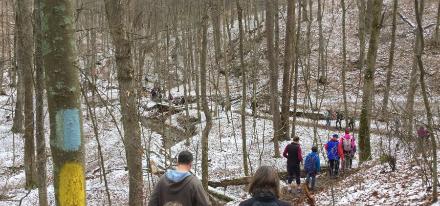 A photo of people hiking in the snowy woods.