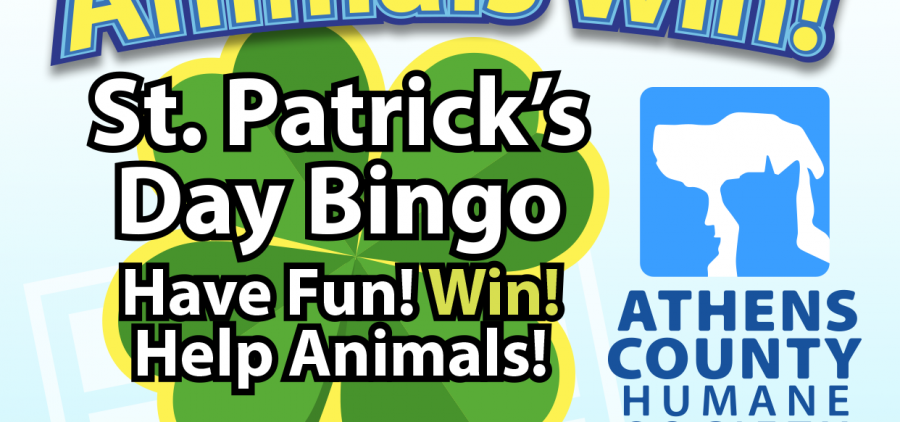 An image of the flyer for the St. Patrick's Day bingo event.