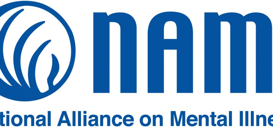 An image of the NAMI logo.
