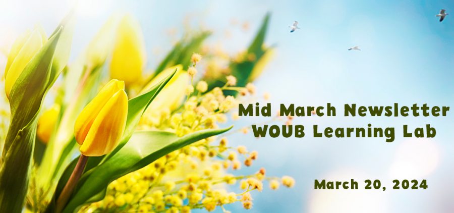 Spring Flowers Mid March Newsletter