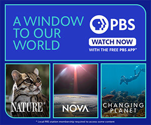 PBS Passport web button for programming related to life on earth including nature, with a wild cat image, NOVA, with an image from space, and the Changing Planet, with an image of divers near a coral reef.