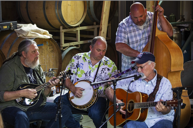 An image of bluegrass musicians all gathered together playing instruments.