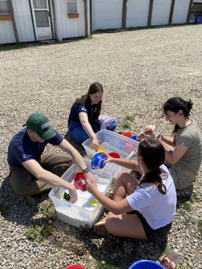 Rural Action’s School Day volunteers, including Thomas Faber and Alexis Walter, wash bowls after School Day at the Chesterhill Produce Auction.