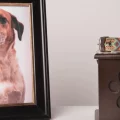 A memorial for a dog includes a picture and a collar on a pedestal