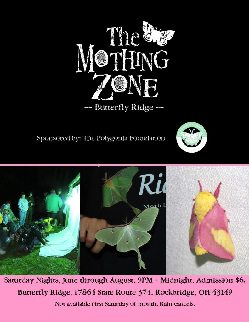 A flyer for "The Mothing Zone"