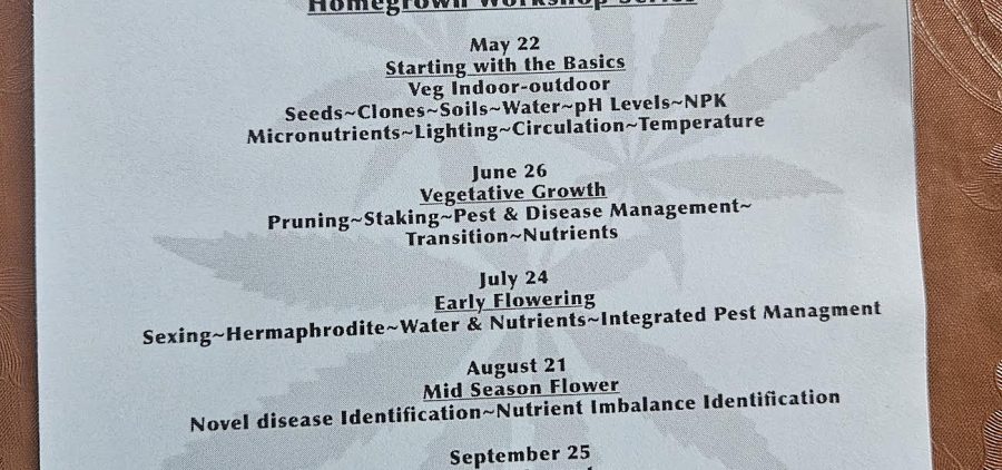 A flyer for the Cannabis Museum's cannabis growing workshops.