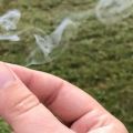 A close-up of a person's hand holding a smoking cannabis joint.