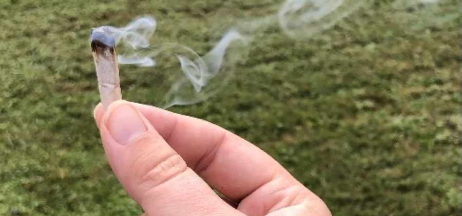 A close-up of a person's hand holding a smoking cannabis joint.