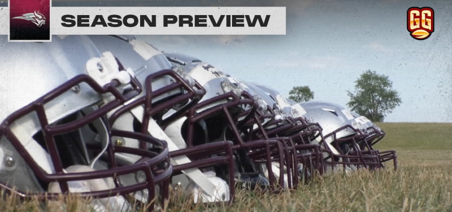 Line of grey helmets laying on the ground at Vinton County's practice field. Text in the top left of the image with a Vinton County Vikings logo and the words "season preview."