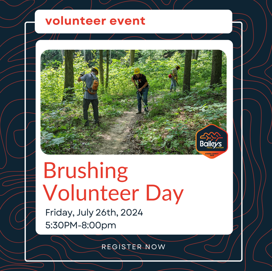 An image of a flyer for the Brushing Volunteer Day event.