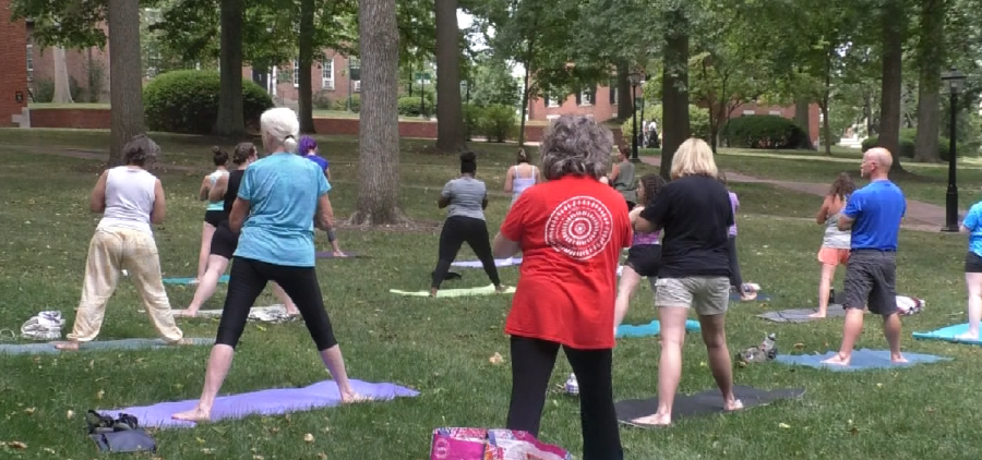 A group of people practice Yoga Under the Elms on College Green | WOUB]