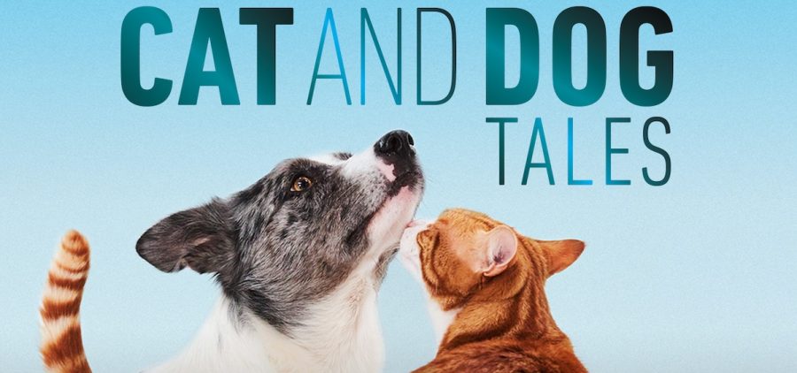 Cat smelling dogs chin with text "Cat and Dog Tales"