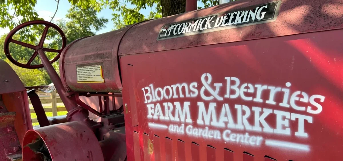 An old tractor with the Blooms and Berries Farm Market logo on it.