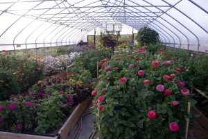 Planters full of colorful flowers in a high tower.