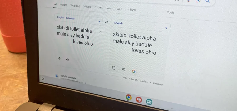 A laptop at a Cuyahoga County Public Library branch shows a middle schooler demonstrating some of the common slang of the day.