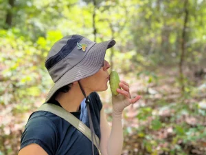 A woman with a bucket hat on kisses a pawpaw fruit in the woods.