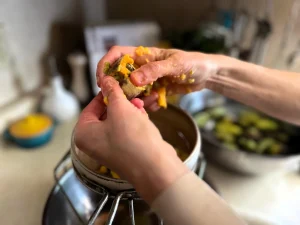 A pawpaw fruit is processed by two hands pulling it apart.