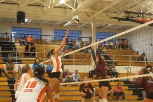 Buckeye Gianna Dixon goes up for the kill