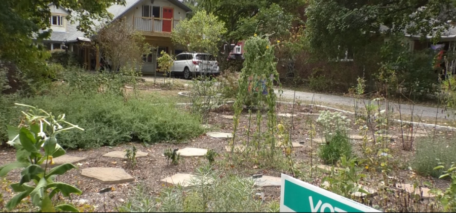 Kathy Berry's garden can be seen in front of her house on Elmwood Street in Athens.