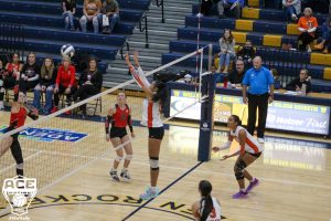 Buckeye Gianna Dixon blocks at the net