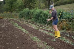 A woman with a hoe marks rows for a crop in an open dirt field.