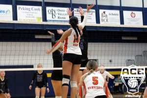 Buckeye Gianna Dixon tips at the net