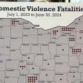 A map showing locations of the 114 domestic violence deaths in the Ohio Domestic Violence Network's report from July 1, 2023 to June 1, 2024.