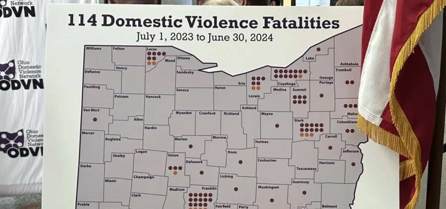 A map showing locations of the 114 domestic violence deaths in the Ohio Domestic Violence Network's report from July 1, 2023 to June 1, 2024.