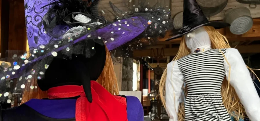 Two scarecrows are propped up inside an antique shop.