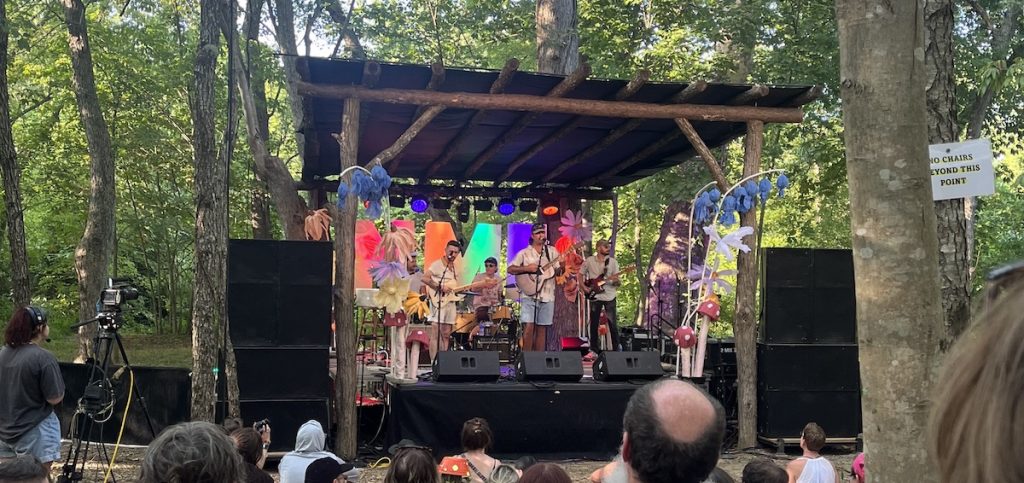 An image of The Wonderfool performing at the 2024 Nelsonville Music Festival.