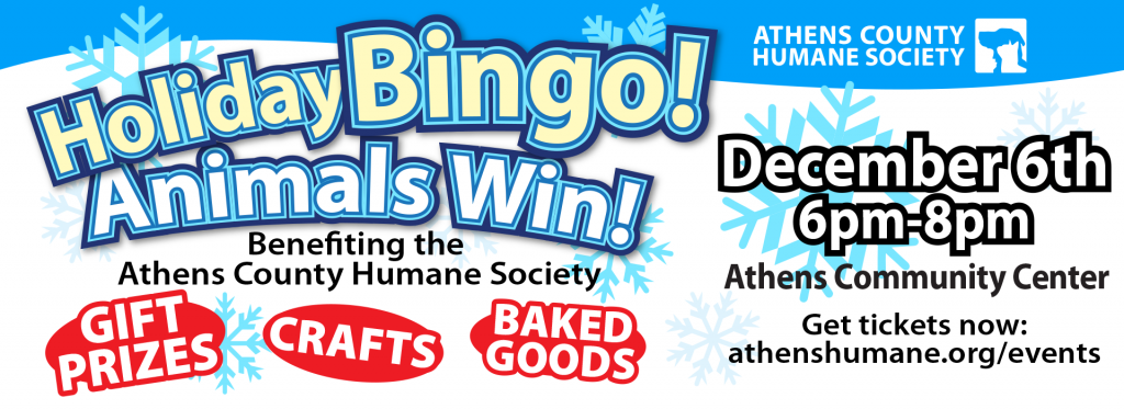 An image advertising the Holiday Bingo event.