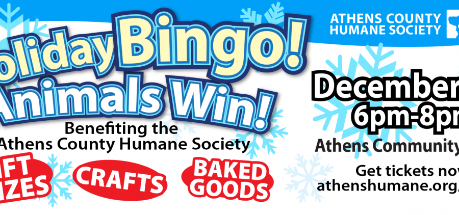 An image advertising the Holiday Bingo event.