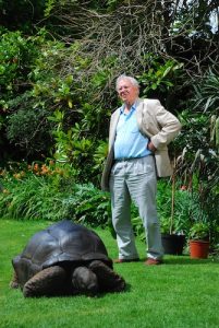 Sir David Attenborough with a giant tortoise at a private animal collection in Surrey, UK. From Kingdom of Plants with David Attenborough (2012) Credit: Will Benson / © Atlantic Productions